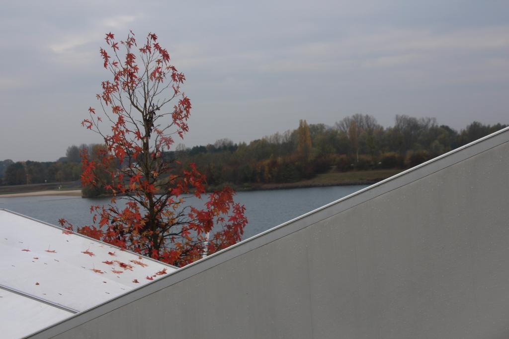 Хостел Sailcenter Limburg Kinrooi Екстер'єр фото